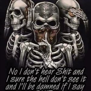 Meet your Posher, Troy